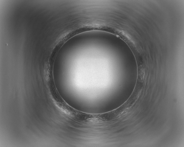 X0000076030544200609291001