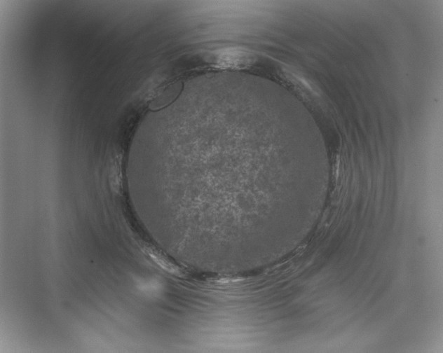 X0000076030554200609291001