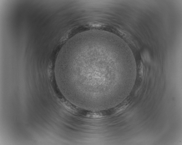 X0000076030559200609291001
