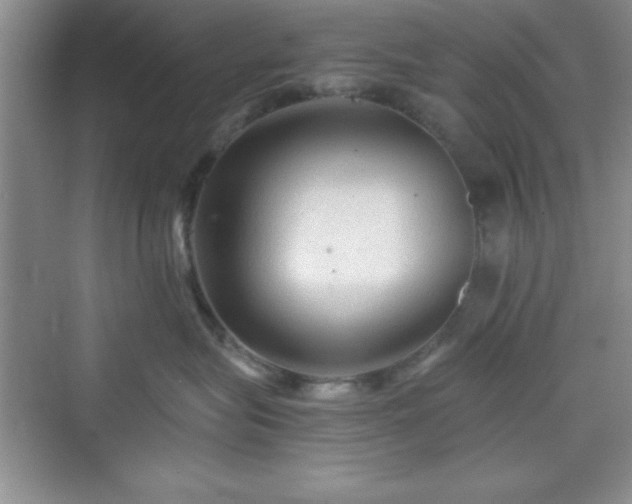 X0000076030575200609291001