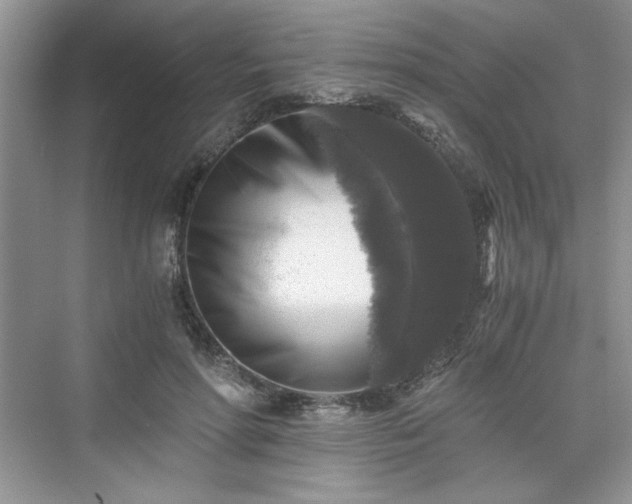 X0000076030598200609291000