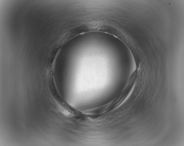 X0000076030601200609291000