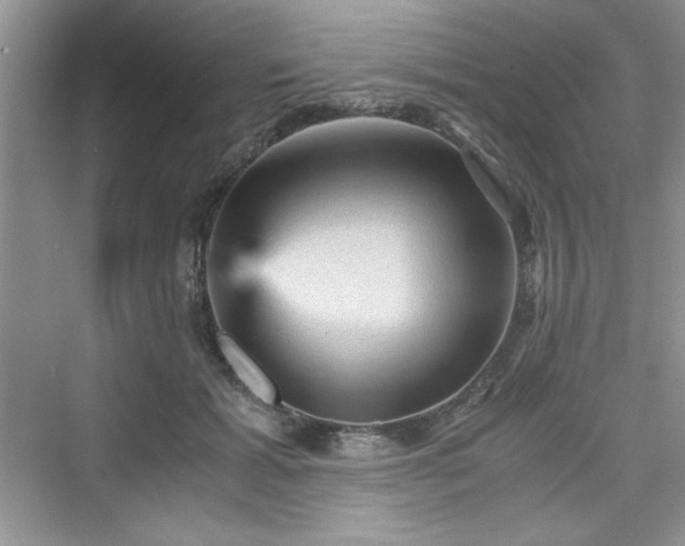X0000076030605200609291000