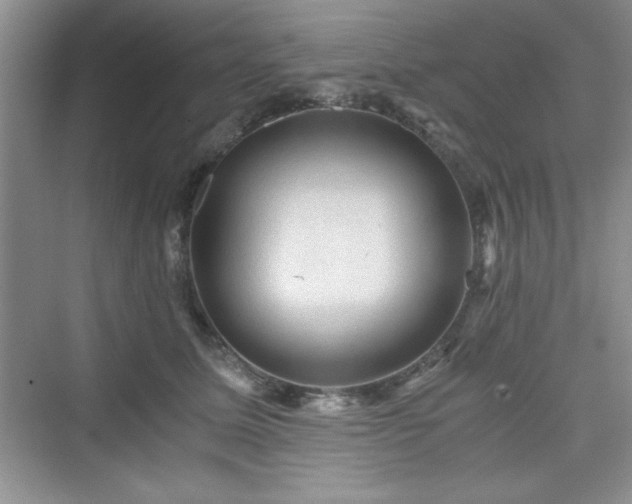 X0000076030611200609291000