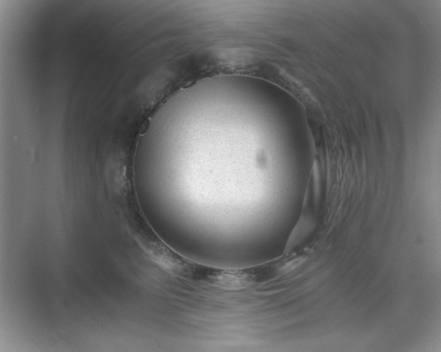 X0000076030615200609291000
