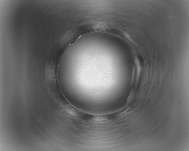 X0000076030619200609291000