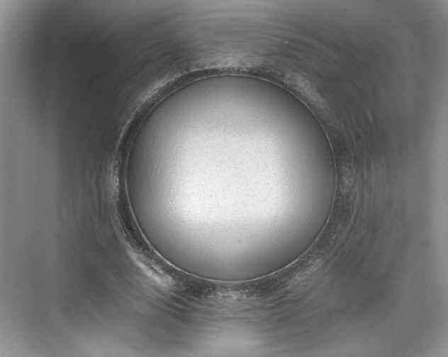 X0000076030632200609290959