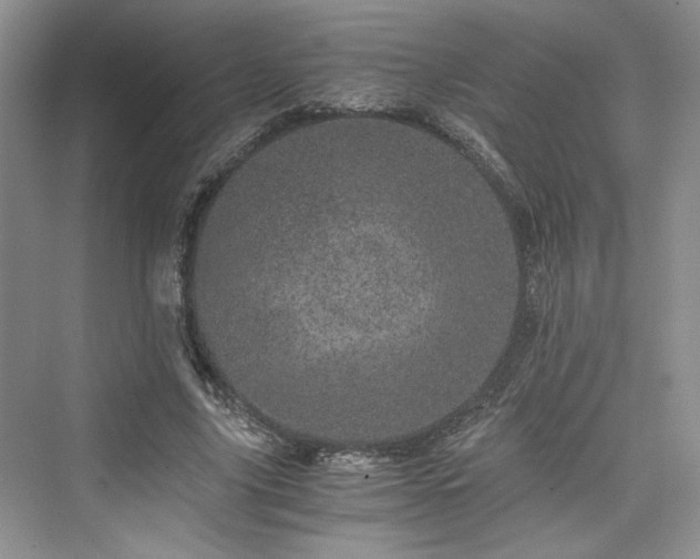 X0000076030635200609290959