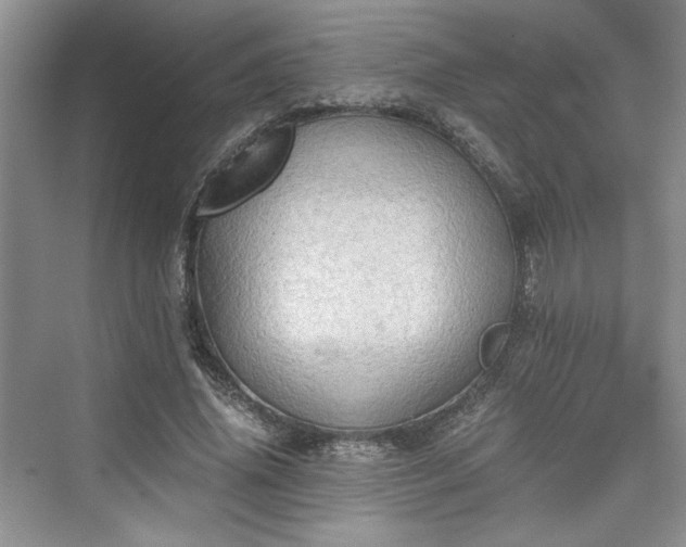 X0000076030636200609290959