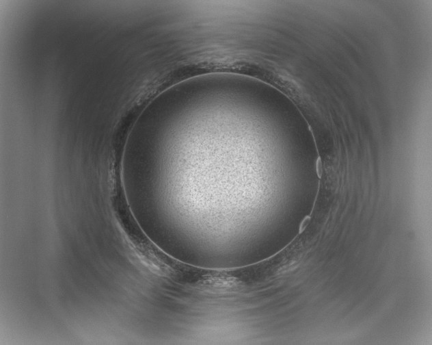 X0000076030642200609290959