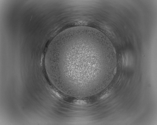 X0000076030649200609290959
