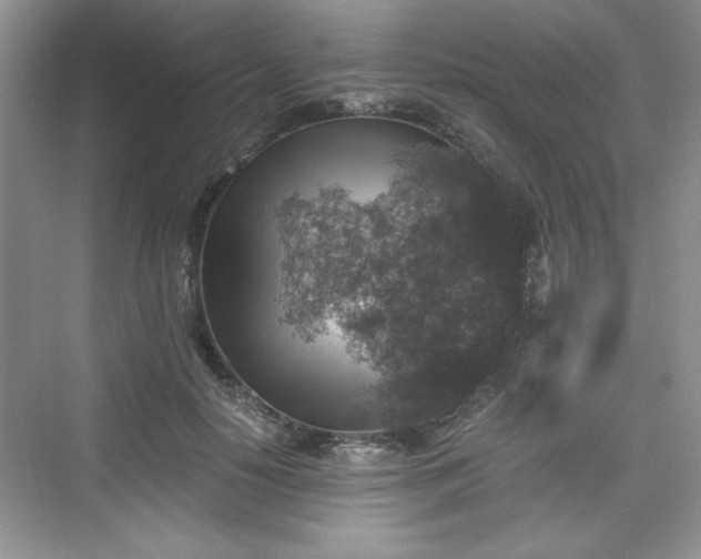 X0000076030650200609290959