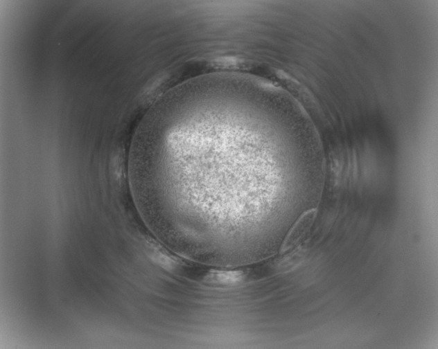 X0000076030665200609291000