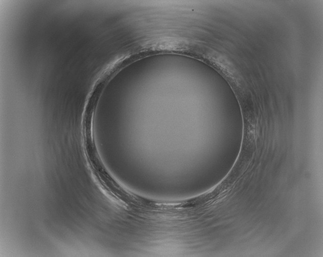 X0000076030678200609290959