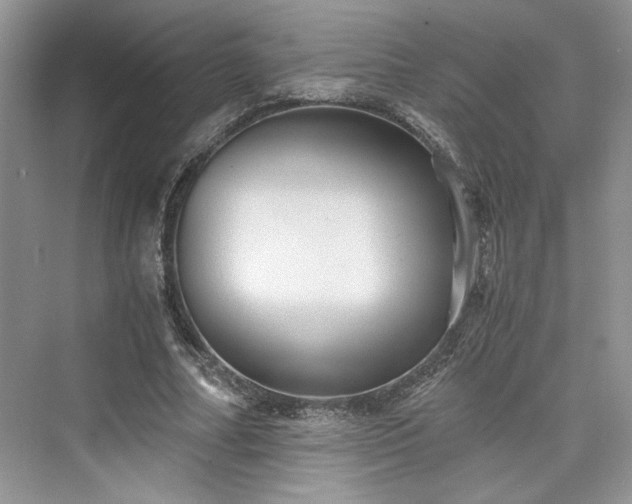 X0000076030682200609290959