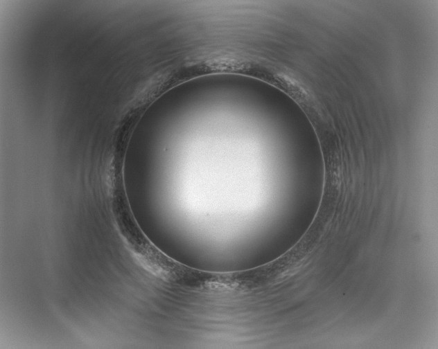X0000076030690200609290959