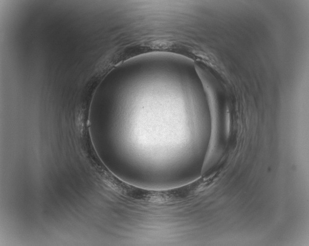 X0000076030697200609290958