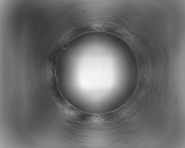 X0000076030702200609290958