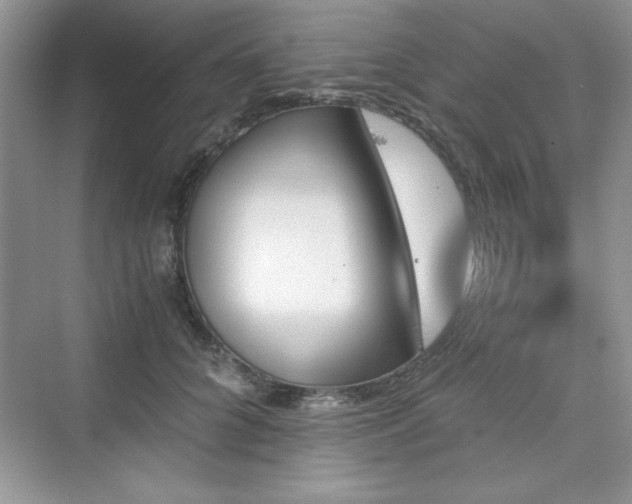 X0000076030704200609290958