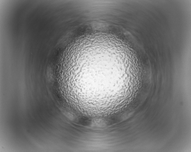 X0000076030705200609290958
