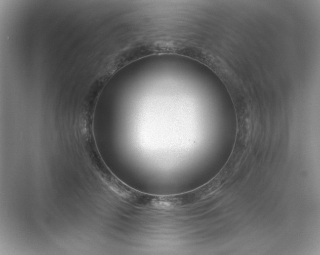 X0000076030706200609290958