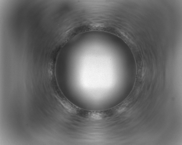 X0000076030710200609290958