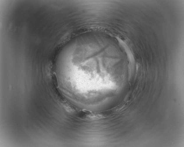 X0000076030712200609290958