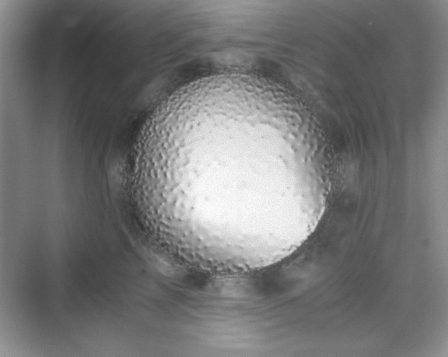X0000076030713200609290958