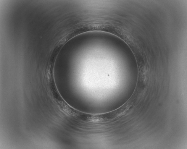 X0000076030746200609290958