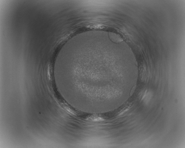 X0000076030747200609290958
