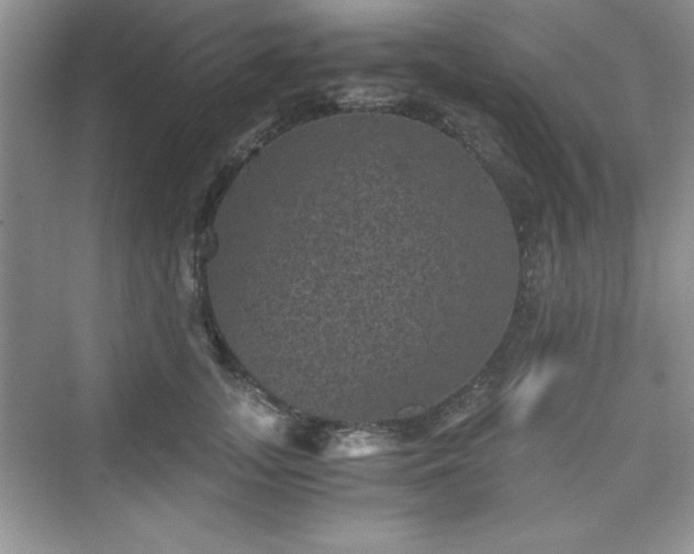X0000076030755200609290958