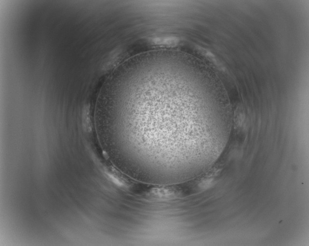 X0000076030764200609290958