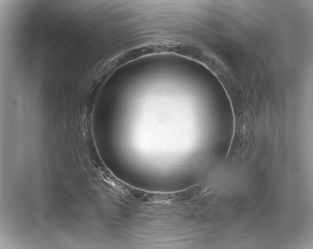 X0000076030773200609290957