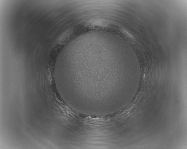 X0000076030774200609290957