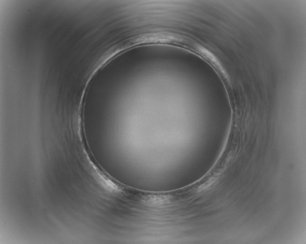 X0000076030802200609290957