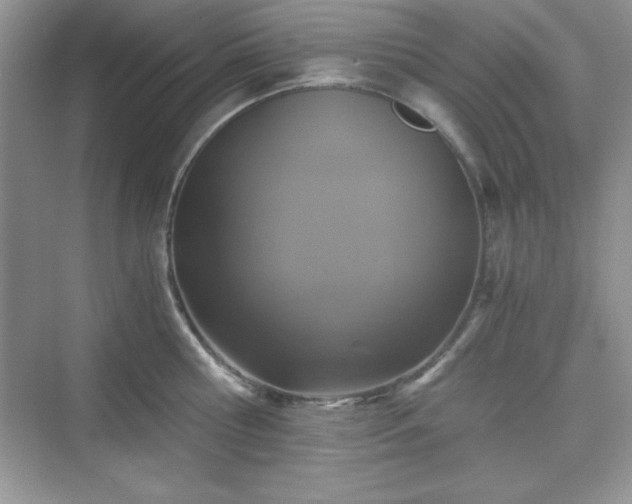 X0000076030810200609290957