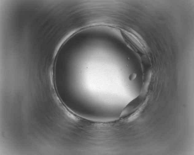 X0000076030812200609290957
