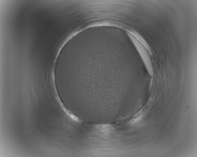 X0000076030813200609290957