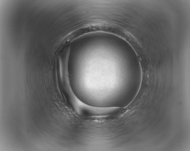 X0000076030822200609290956