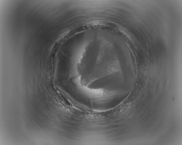X0000076030823200609290956