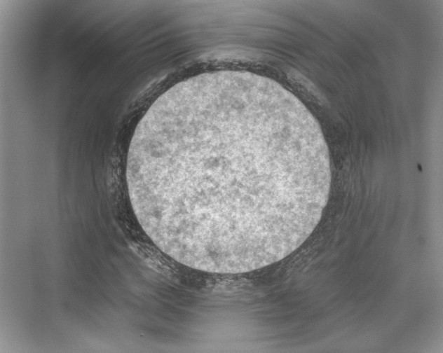 X0000076030824200609290956