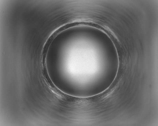 X0000076030830200609290956
