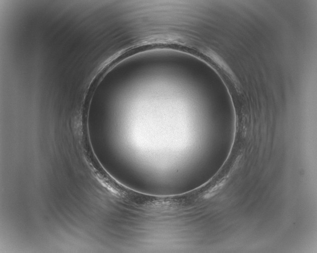 X0000076030834200609290956