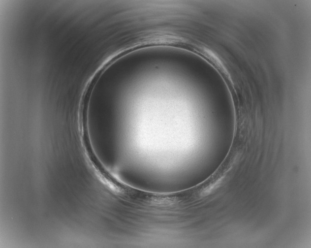 X0000076030843200609290956