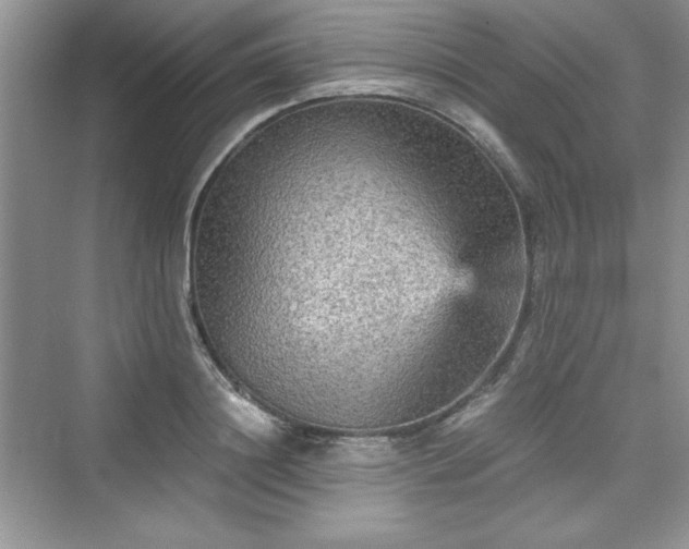 X0000076030844200609290956