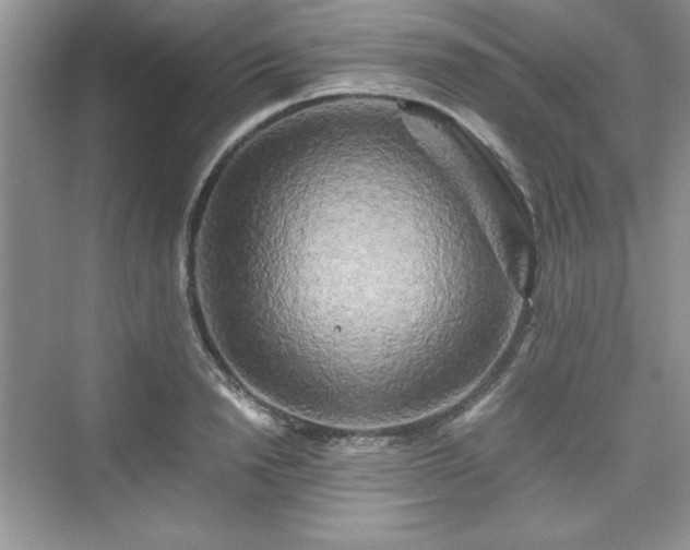 X0000076030846200609290956