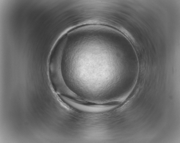 X0000076030854200609290956