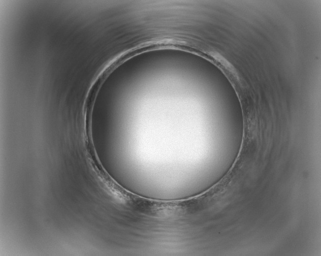 X0000076030886200609290955