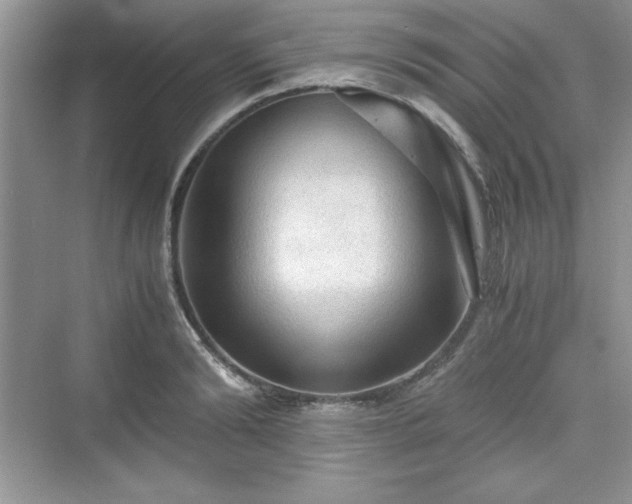 X0000076030894200609290955