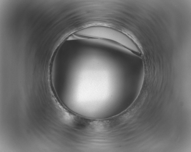 X0000076030898200609290955